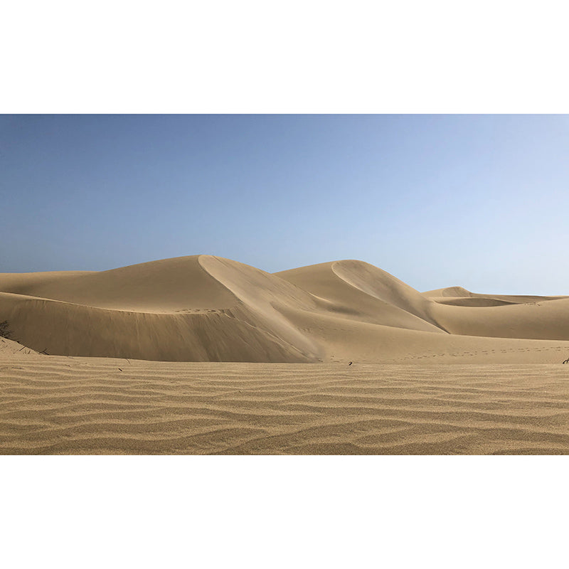 Tropical Desert Wall Murals Contemporary Photography Style Wall Art for Bedroom