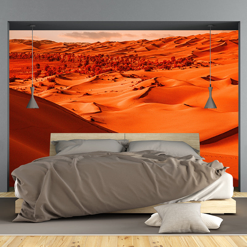 Tropical Desert Wall Murals Contemporary Photography Style Wall Art for Bedroom