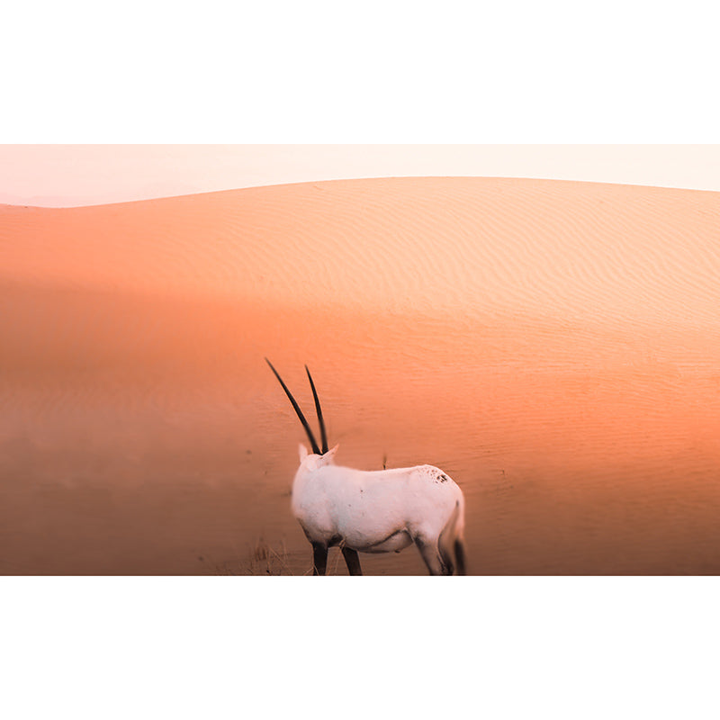 Tropical Desert Wall Covering for Sitting Room Water Resistant, Made to Measure