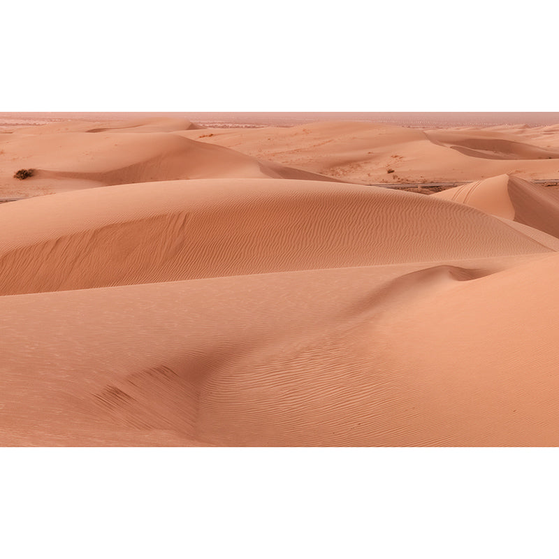 Dry Desert Murals for Living Room Bedroom Decoration, Personalized Size Available