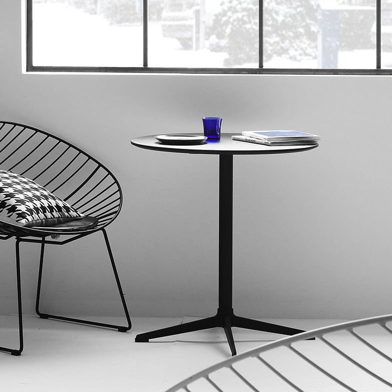 Industrial Wood Dining Table Pedestal Dining Table with Metal Base for Home Use