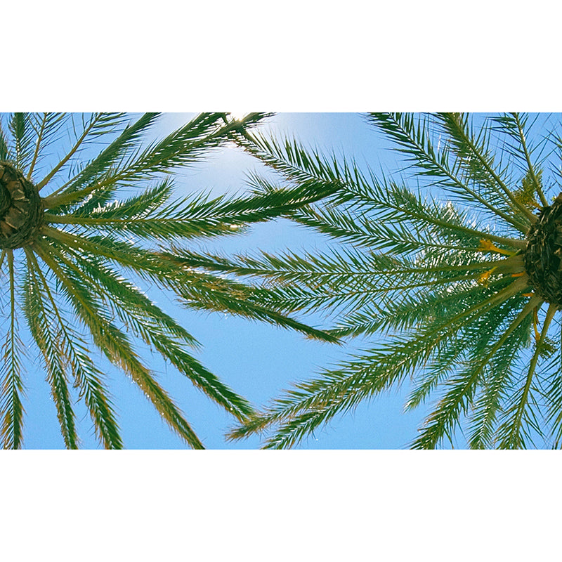 Tropical Plants Mural Wallpaper for Reading Room Modern Wall Covering for Home