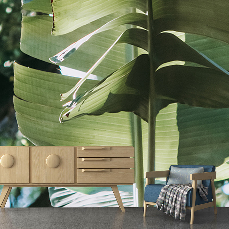 Tropical Plants Mural Wallpaper for Reading Room Modern Wall Covering for Home