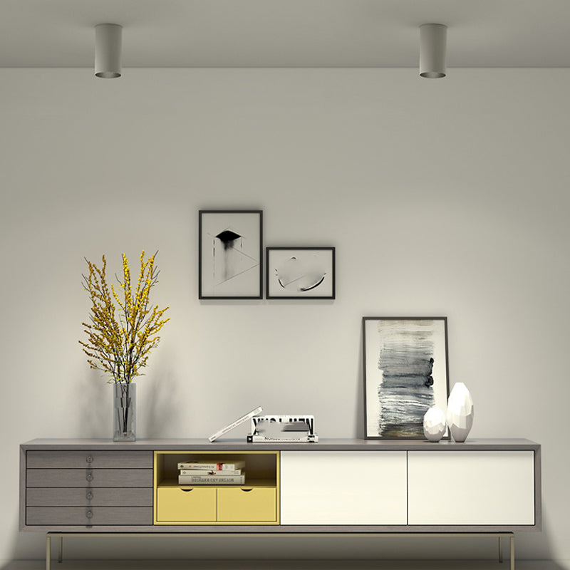 Modern Concise LED Ceiling Lamp Aluminium Cylindrical Shape Ceiling Fixture