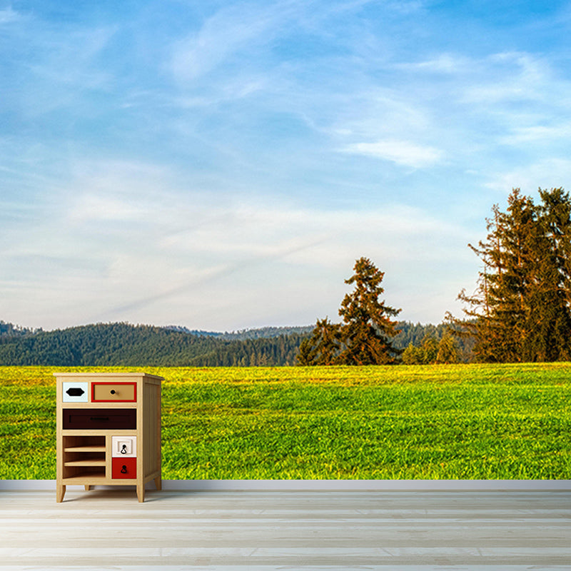 Mildew Resistant Wall Mural Wallpaper Sky Landscapes Pattern for Sitting Room