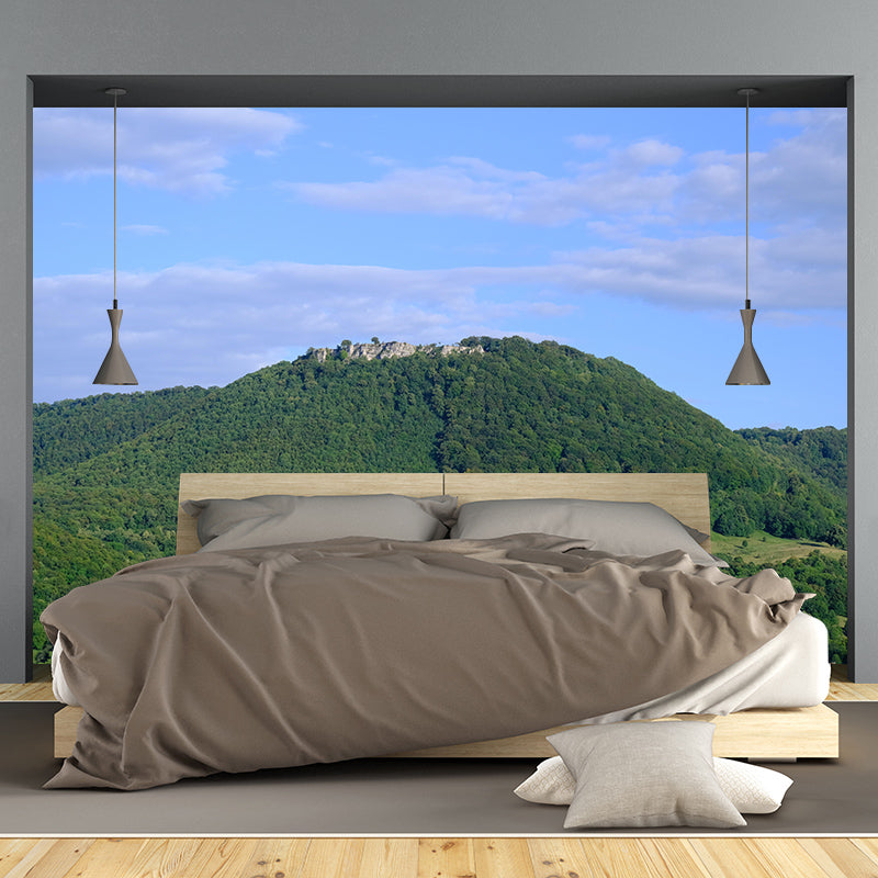 Mildew Resistant Wall Mural Wallpaper Mountain Landscapes Pattern Wall Covering