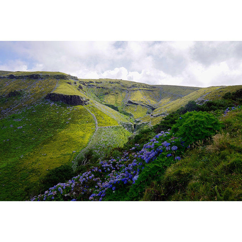 Mildew Resistant Wall Mural Wallpaper Mountain Landscapes Pattern for Bedroom