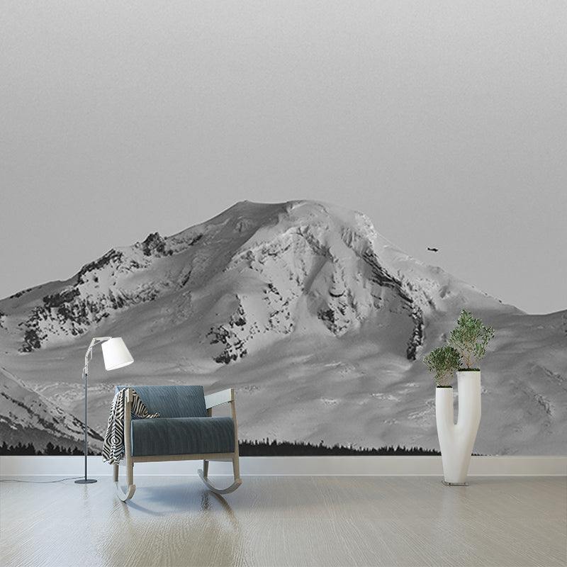 Mildew Resistant Wall Mural Wallpaper Mountain Landscapes Pattern for Bedroom