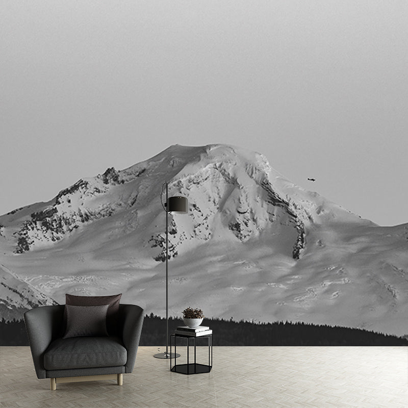 Mildew Resistant Wall Mural Wallpaper Mountain Landscapes Pattern for Bedroom