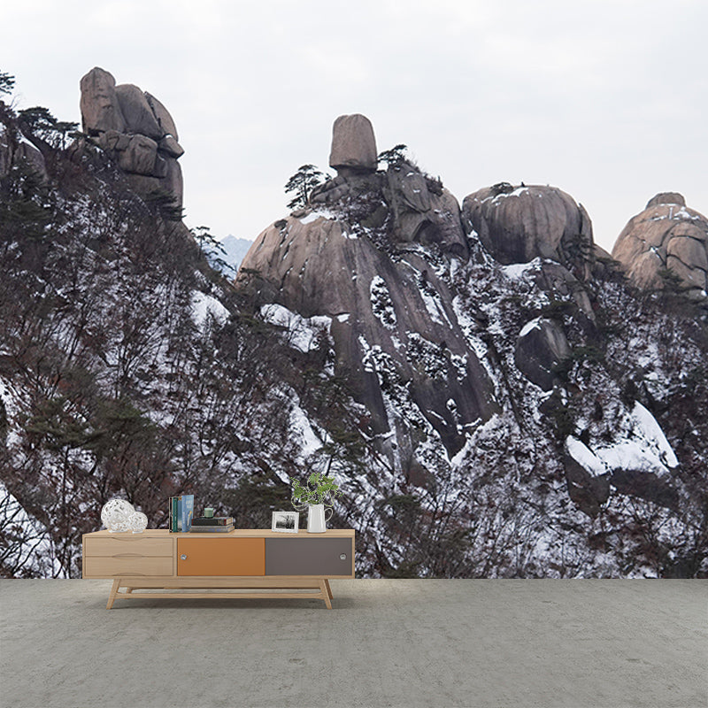 Mildew Resistant Wall Mural Wallpaper Mountain Landscapes Pattern for Bedroom