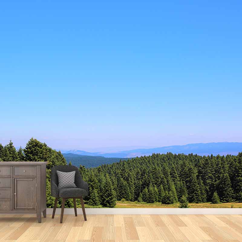 Mildew Resistant Wall Mural Wallpaper Forest Landscapes Pattern for Decoration