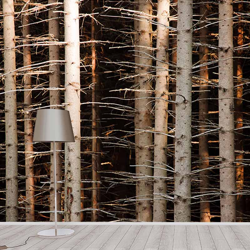 Bedroom Mildew Resistant Wall Mural Wallpaper Forest Landscapes Pattern