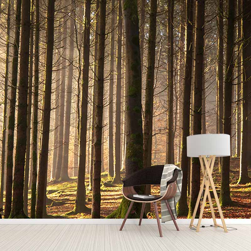 Bedroom Mildew Resistant Wall Mural Wallpaper Forest Landscapes Pattern