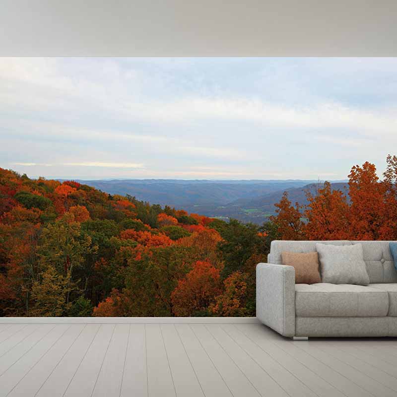 Mildew Resistant Wall Mural Wallpaper Forest Landscapes Pattern for Home