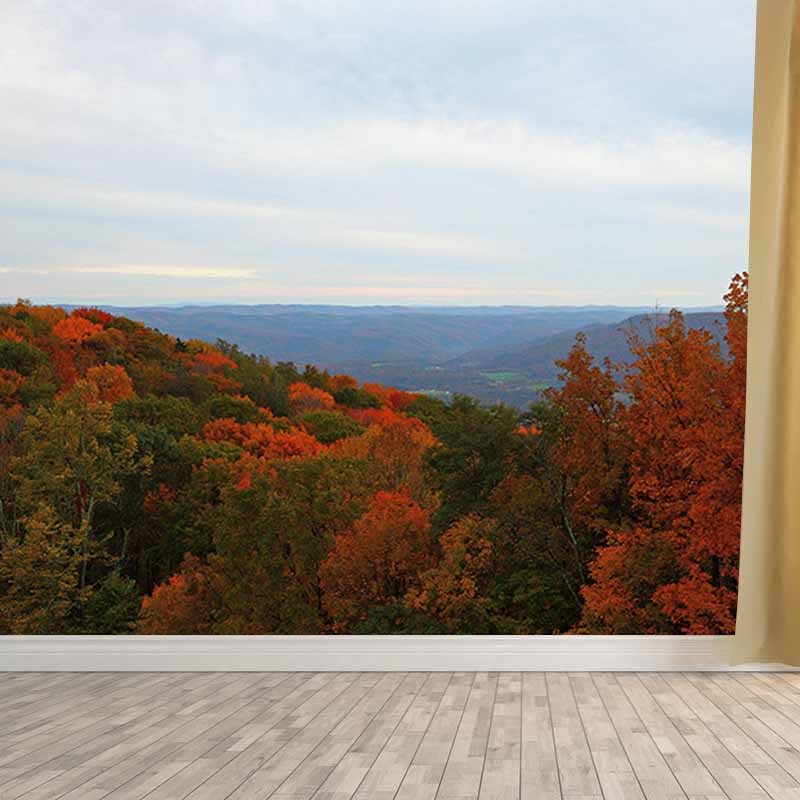 Mildew Resistant Wall Mural Wallpaper Forest Landscapes Pattern for Home