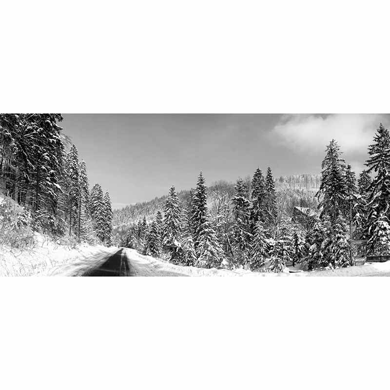 Forest Landscapes Mildew Resistant Wall Mural Wallpaper Pattern for Home Decor