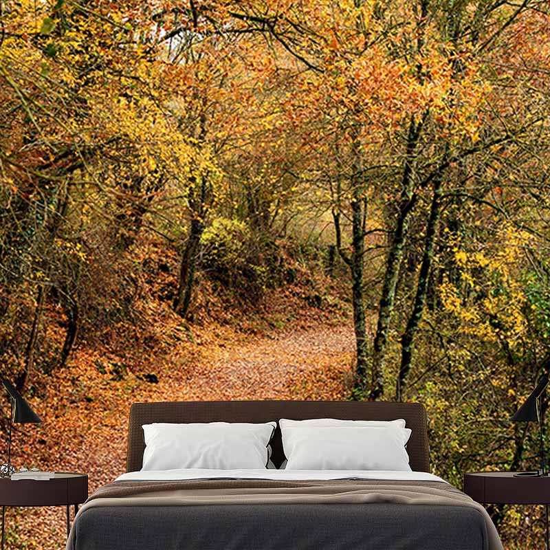 Mildew Resistant Wall Mural Wallpaper Space Extension Pattern for Home Decor