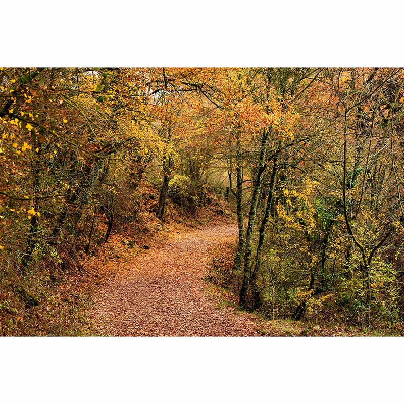 Mildew Resistant Wall Mural Wallpaper Space Extension Pattern for Home Decor