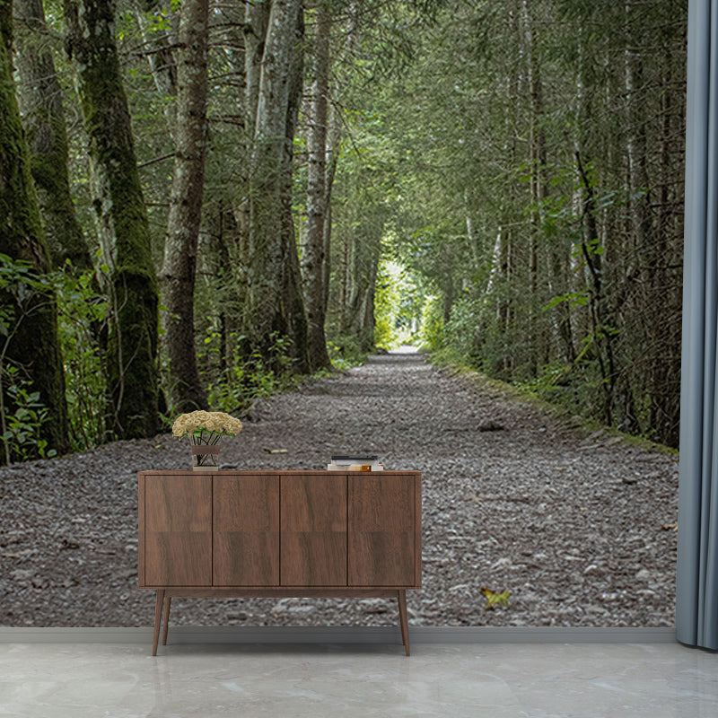 Forest Photo Mural Wallpaper for Reading Room, Moisture Resistant, Personalized