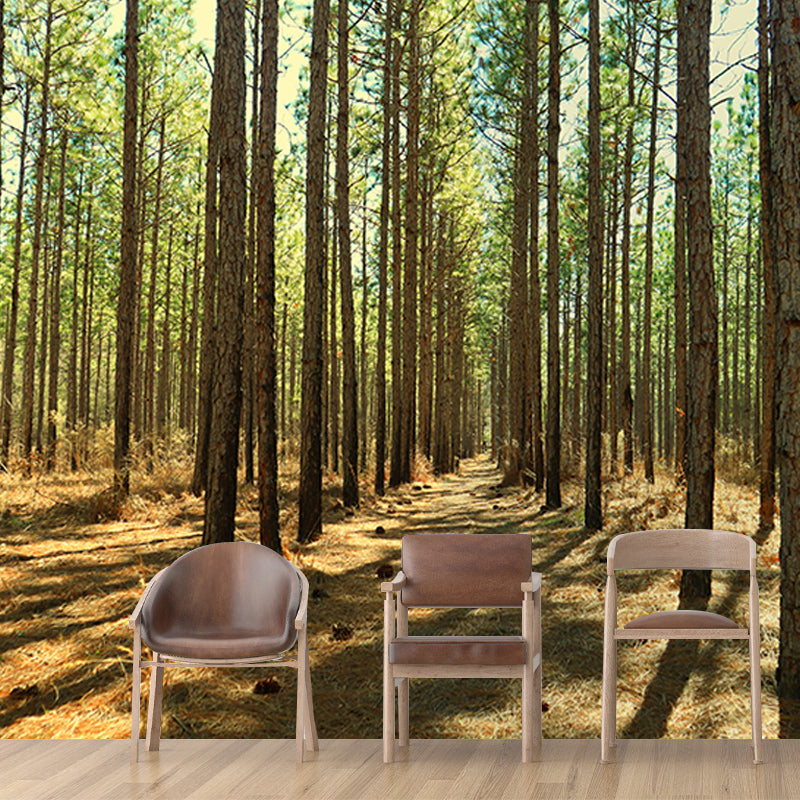 Forest Photo Mural Wallpaper for Reading Room, Moisture Resistant, Personalized