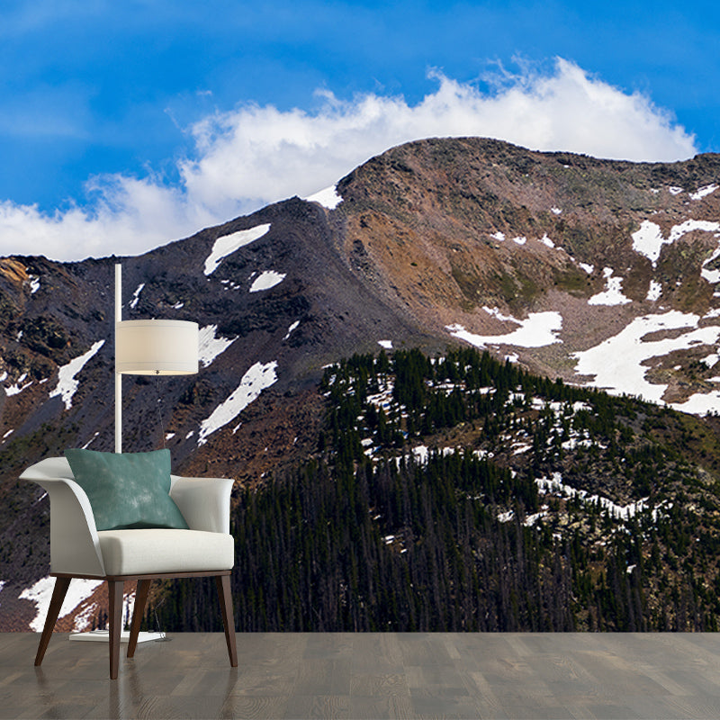 Mountain View Wall Covering for Meeting Room Decoration Waterproofing, Made to Measure