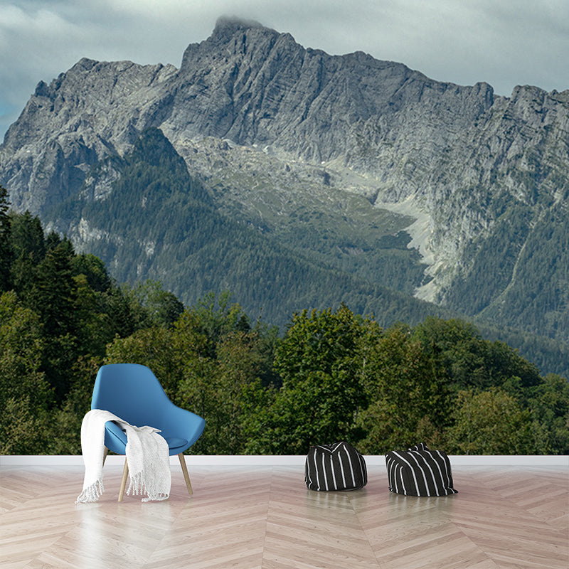 Home Decoration Mountain View Mural Moisture Resistant Wall Covering