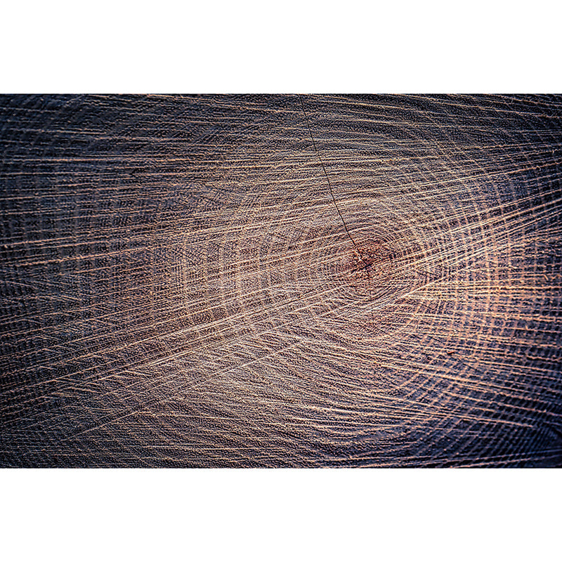 Wood Grain Industrial Style Mural Wallpaper Horizontal Photography Room Wall Art