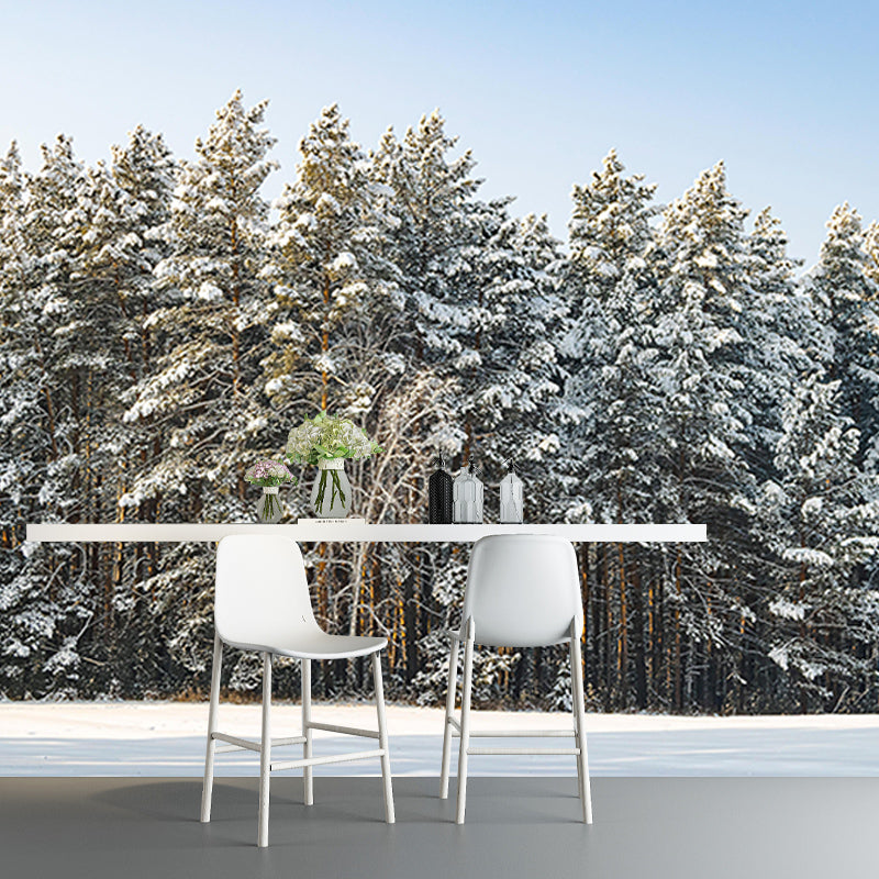 Contemporary Photography Forest Wall Mural Wallpaper Sleeping Room Wall Art