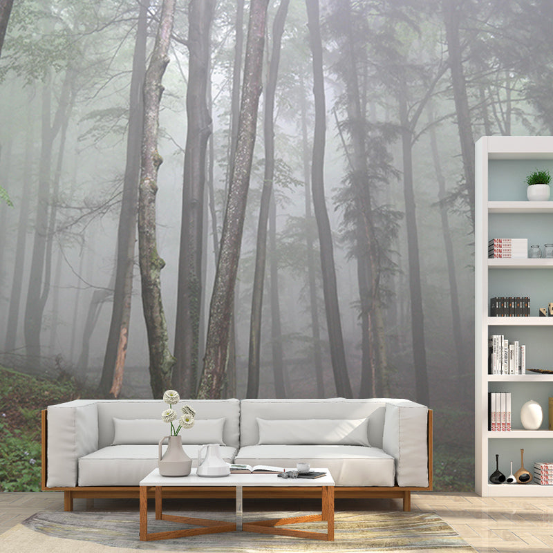 Forest Wallpaper Contemporary Photography Wall Mural Sitting Room Wall Covering