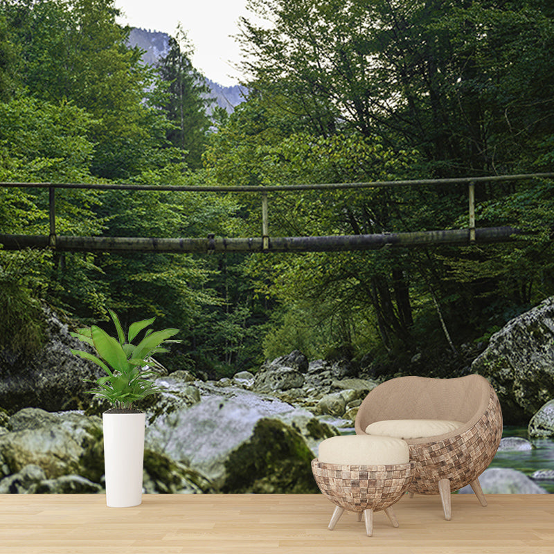 Contemporary Photography Forest Wall Mural Wallpaper Sitting Room Wall Art