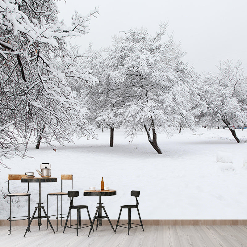 Contemporary Photography Forest Wall Mural Wallpaper Sitting Room Wall Art