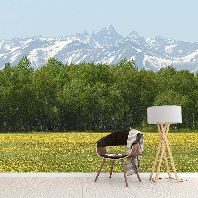 Contemporary Photography Forest Wall Mural Wallpaper Sitting Room Wall Art