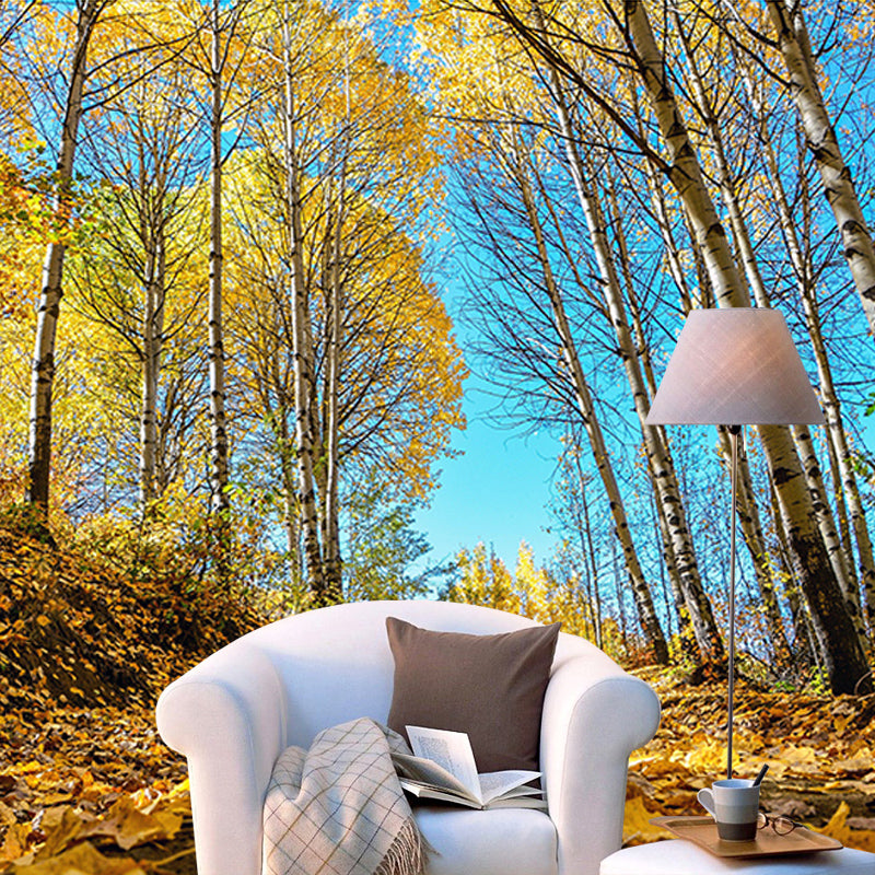 Wallpaper Contemporary Photography Forest Wall Mural Bathroom Wall Covering