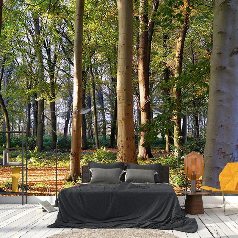 Wall Art Mural Photography Forest Wall Mural Wallpaper Bathroom