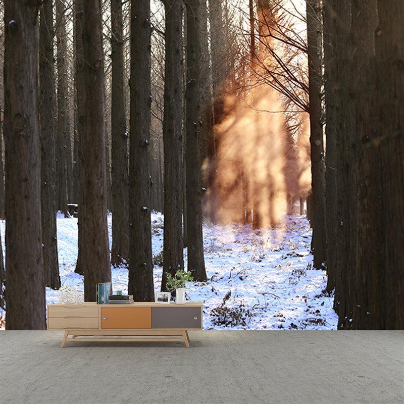 Wall Art Contemporary Forest Photography Wall Mural Wallpaper Dining Room