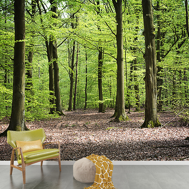 Wall Covering Contemporary Photography Forest Wall Mural Wallpaper Bedroom