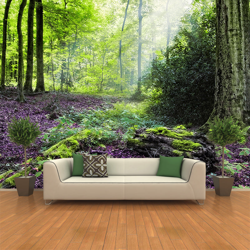 Living Room Contemporary Photography Forest Wall Mural Wallpaper Wall Covering
