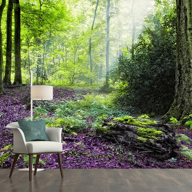 Living Room Contemporary Photography Forest Wall Mural Wallpaper Wall Covering