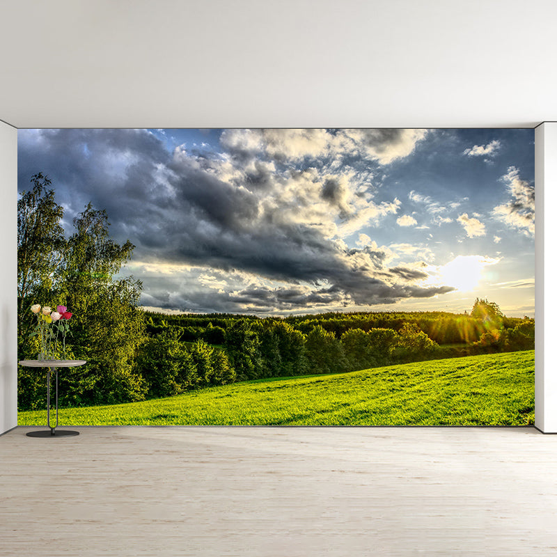 Contemporary Photography Forest Wall Mural Wallpaper Living Room Wall Art