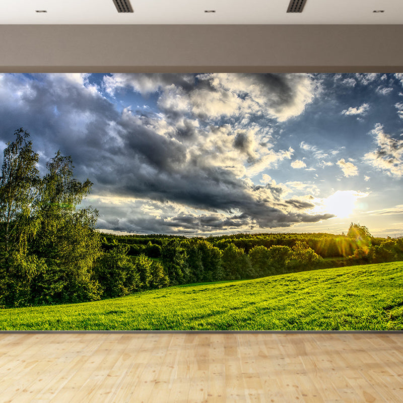 Contemporary Photography Forest Wall Mural Wallpaper Living Room Wall Art