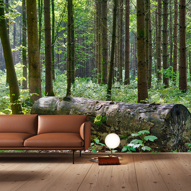 Contemporary Photography Forest Wall Mural Wallpaper Living Room Wall Art