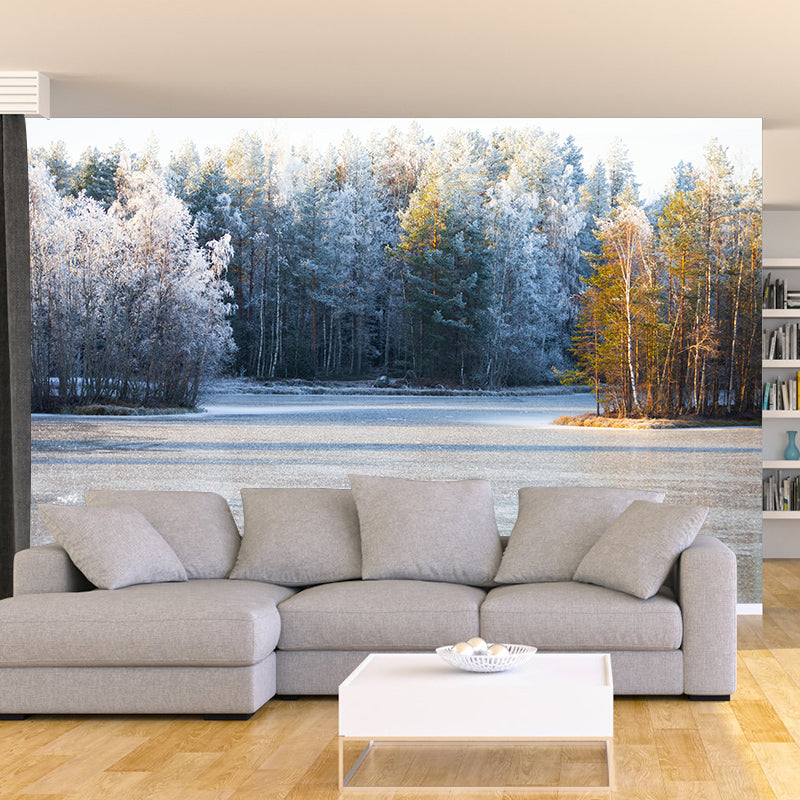 Contemporary Photography Forest Wall Mural Wallpaper Living Room Wall Art