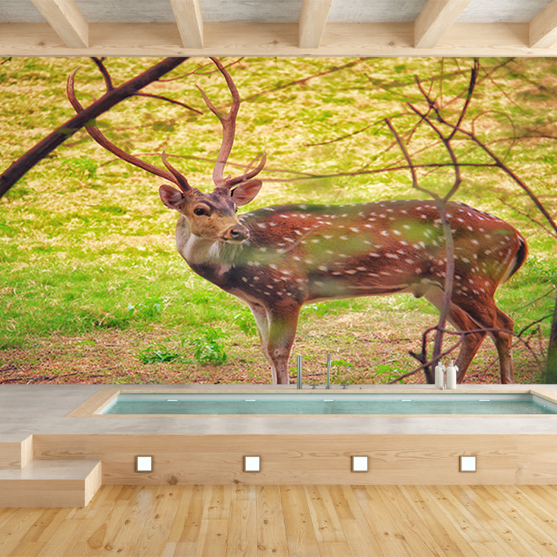 Deer Animal Mural Wallpaper for Bedroom Decor Moisture Resistant, Made to Measure