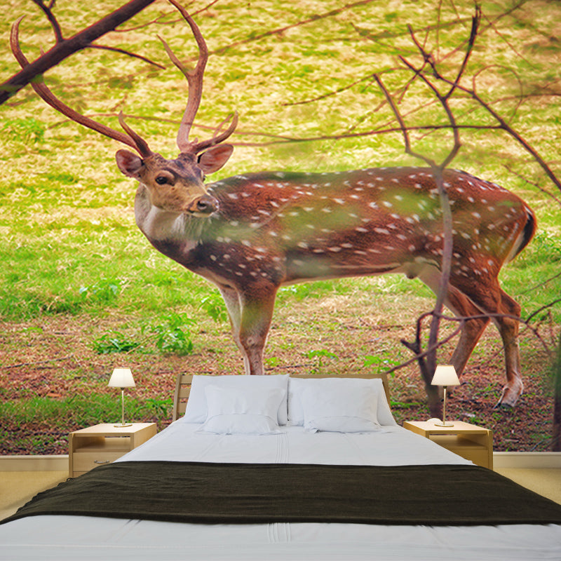 Deer Animal Mural Wallpaper for Bedroom Decor Moisture Resistant, Made to Measure