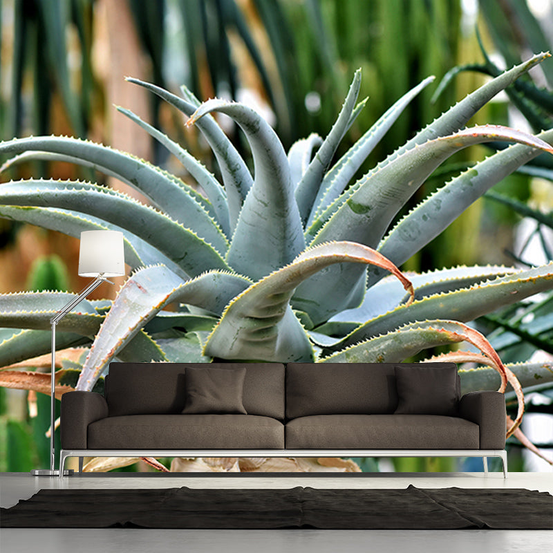 Agave Plant Wall Covering for Living Room Bedroom Home Decor, Customized Size