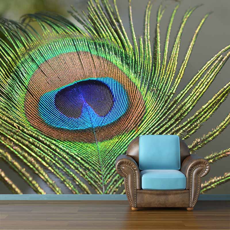 Simple Feather Photography Wall Murals Moisture Resistant, Made to Measure