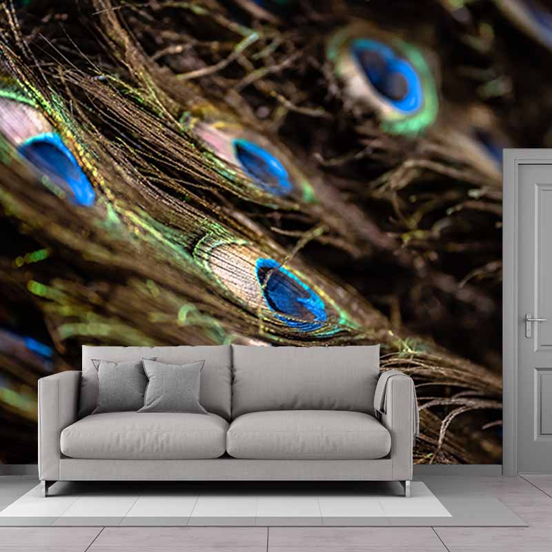 Simple Feather Photography Wall Murals Moisture Resistant, Made to Measure