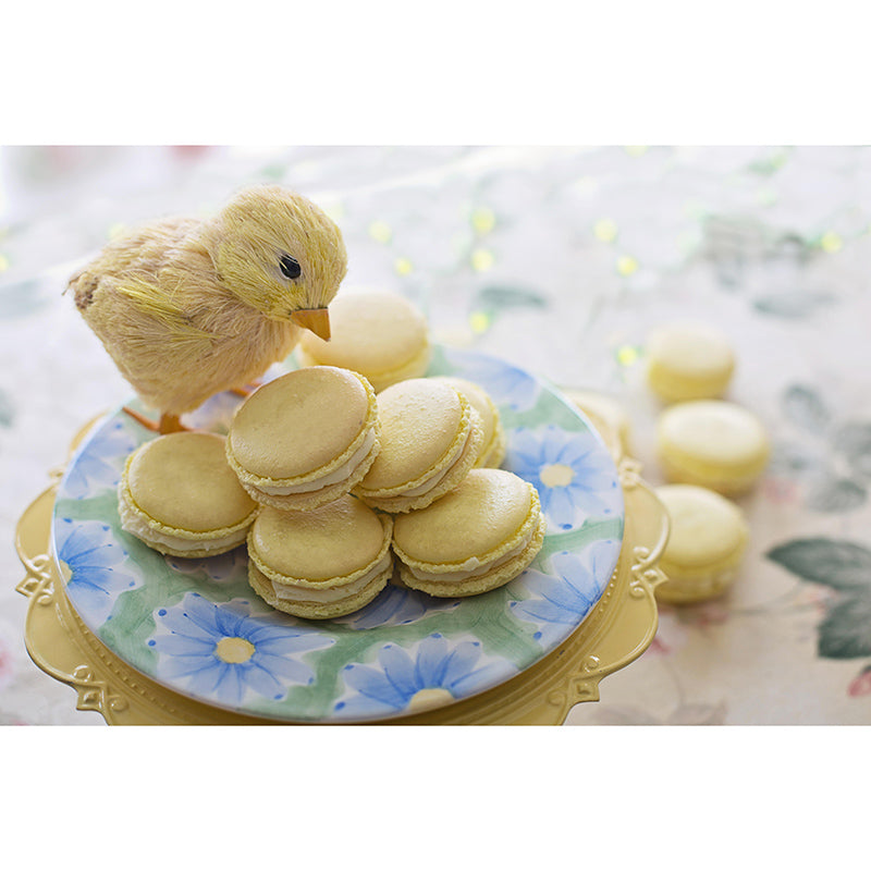 Mildew Resistant Mural Macaron Decorative Wallpaper for Dessert Shop