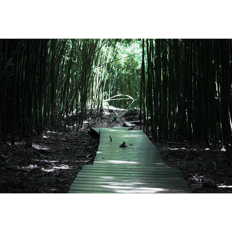 Eco-friendly Photography Space Extension Wall Mural Wallpaper for Home Decor