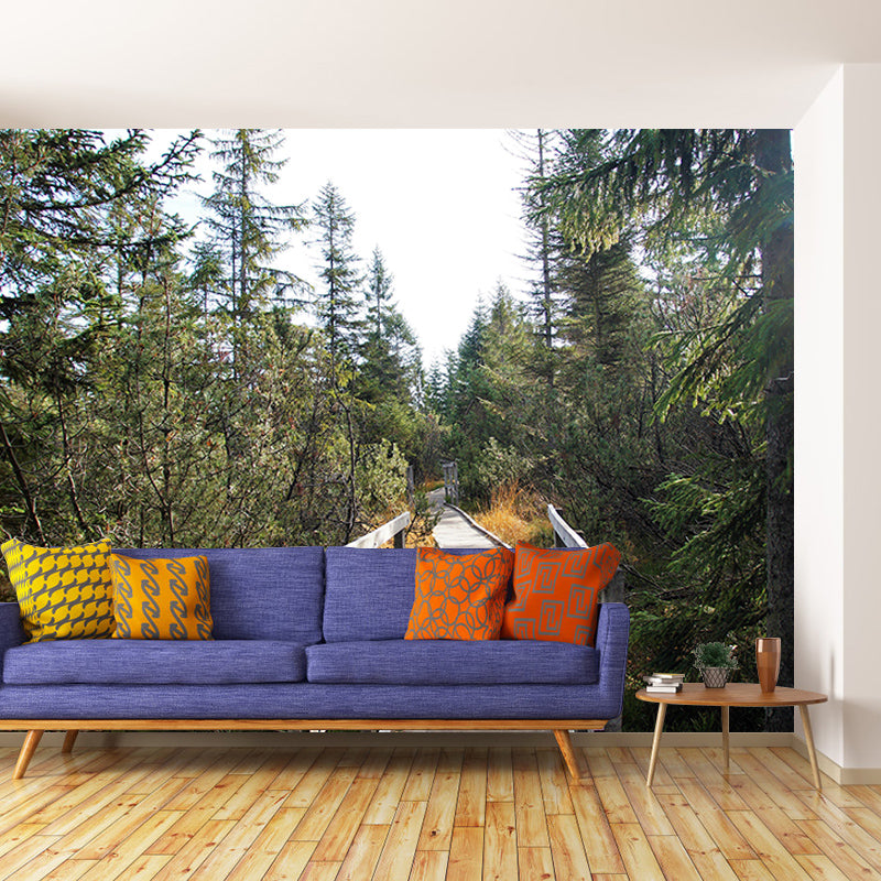 Horizontal Photography Space Extension Mural Wallpaper Eco-friendly for Home Decor